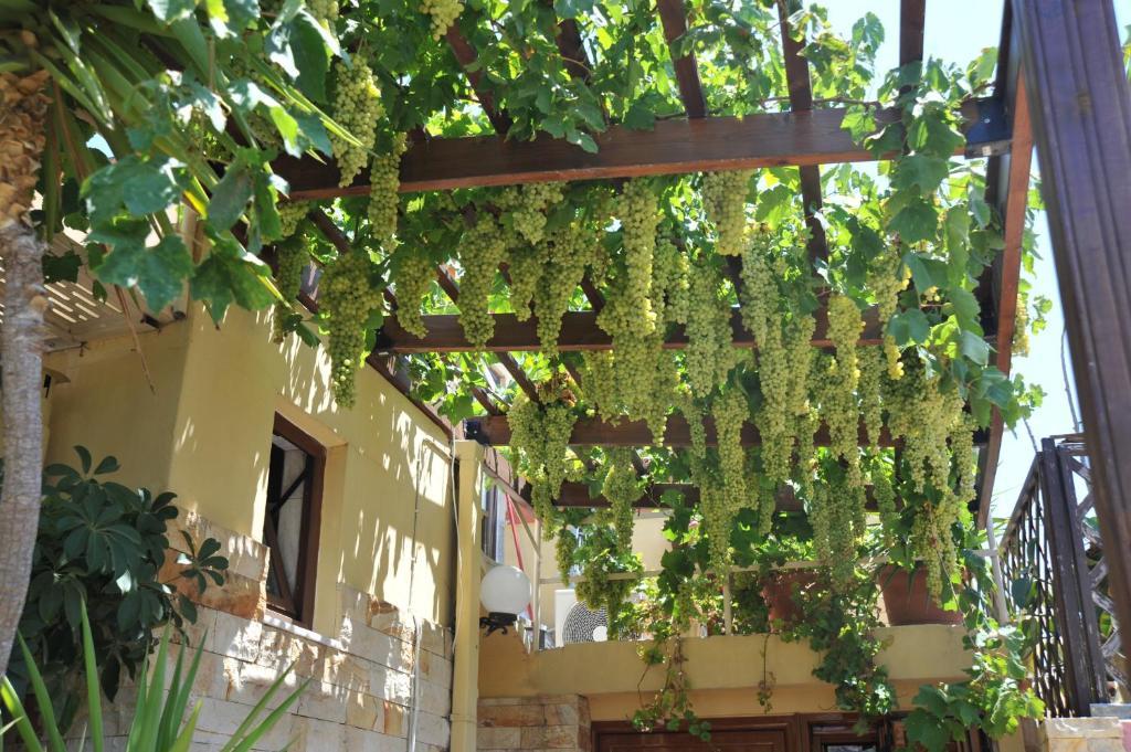 Sofia Pension Rhodes City Екстер'єр фото