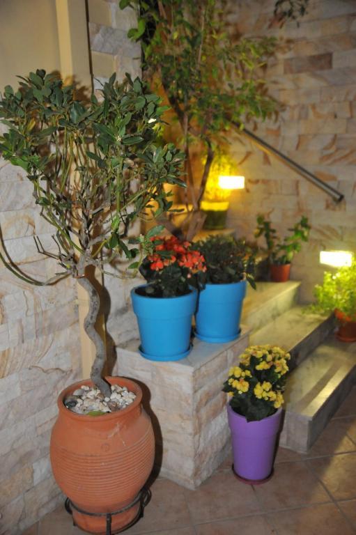 Sofia Pension Rhodes City Екстер'єр фото